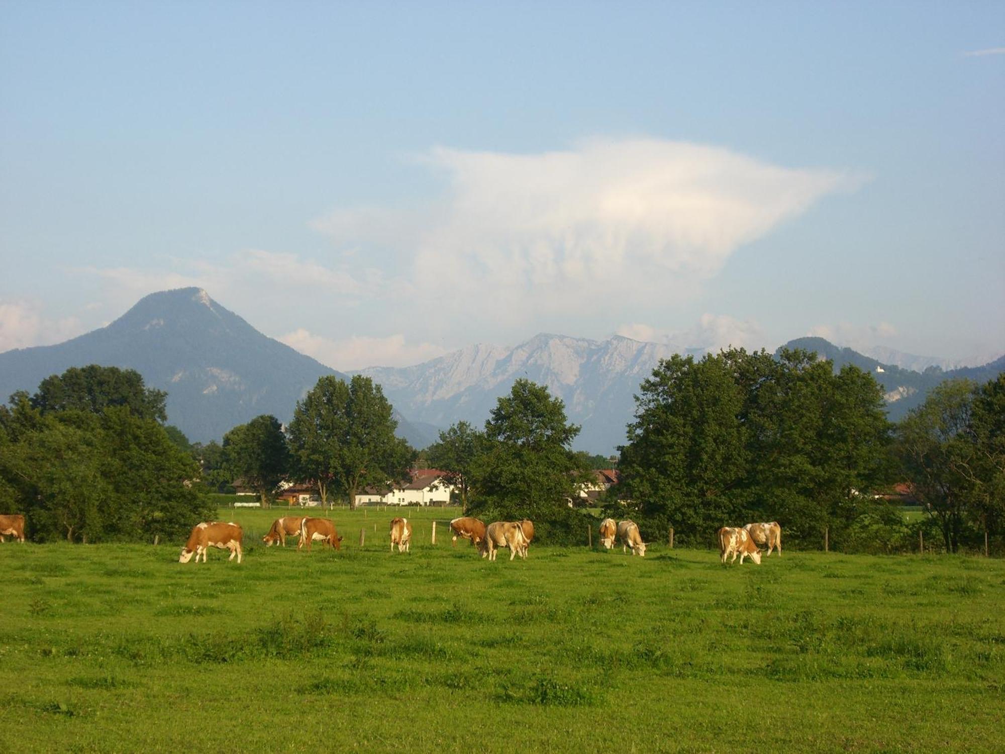 Gasthaus Kellerer Raubling Exteriér fotografie